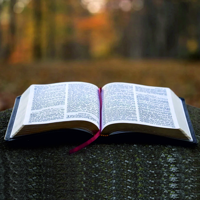 EL GLORIOSO EVANGELIO